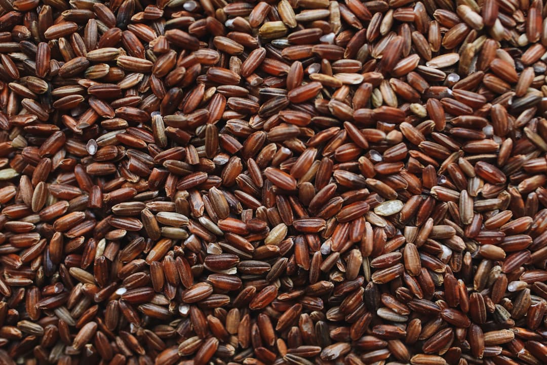Brown rice grains