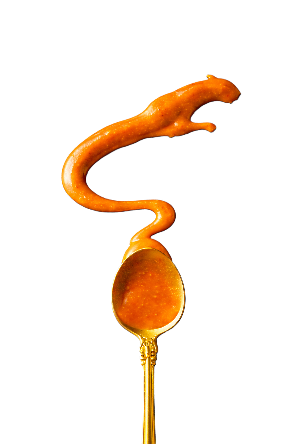 Panthos ketchup sculpted into a leaping panther, flowing off a gold spoon